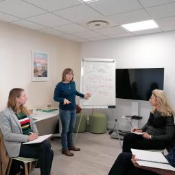 Formation Codev in Breizh